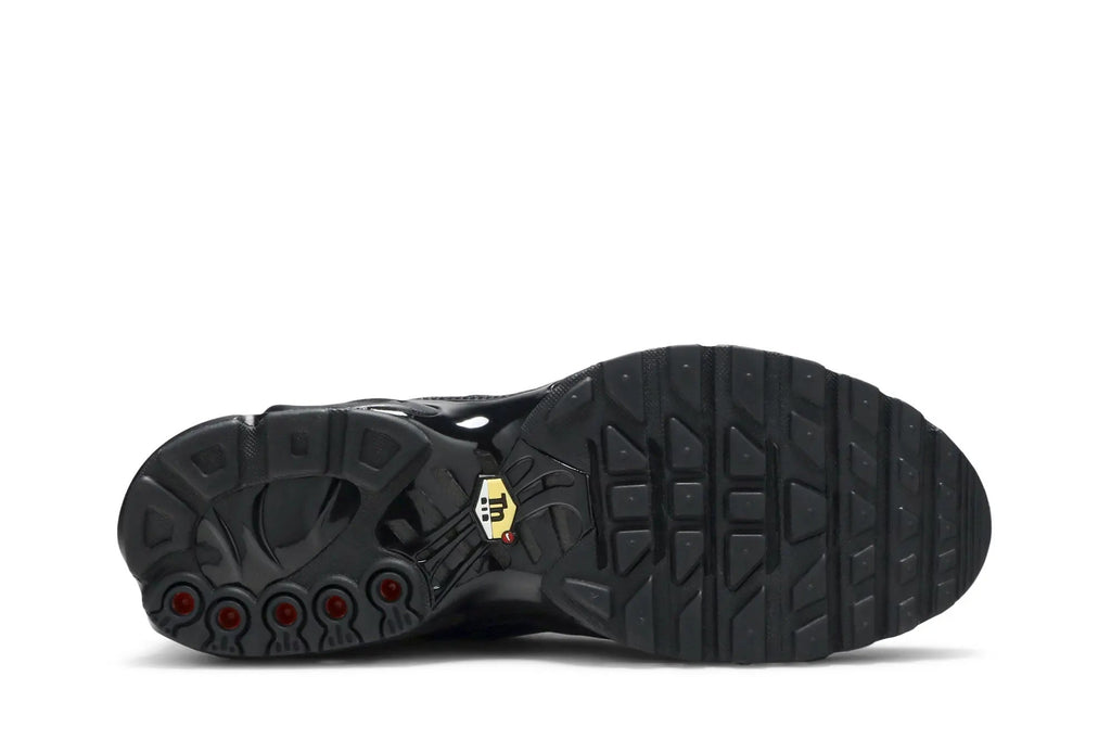 Air Max Plus TN 'Triple Black'