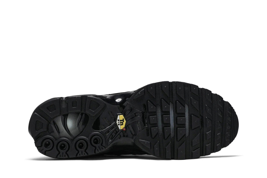 Air Max Plus 'Triple Black'